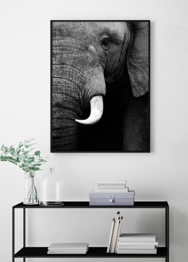 Elefant - 50x70 cm