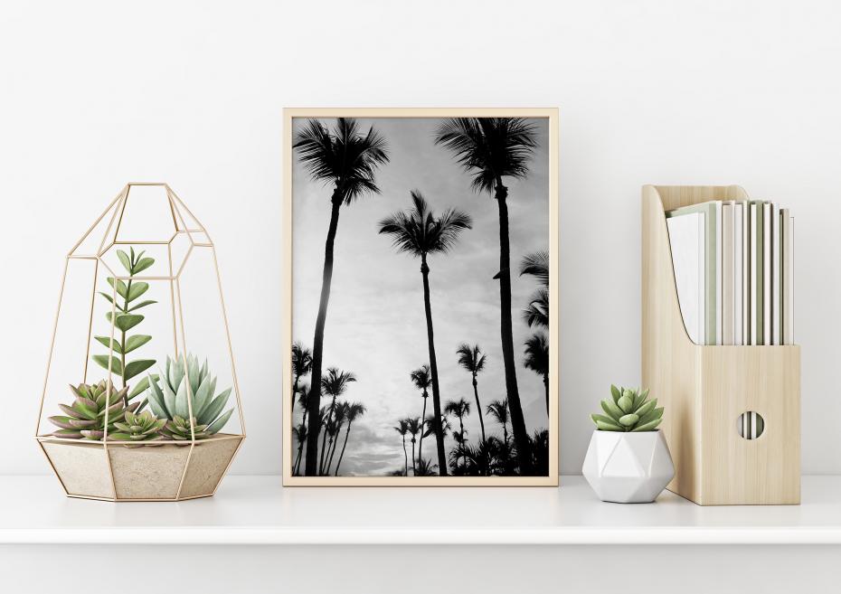 Palm Trees 40x50 cm
