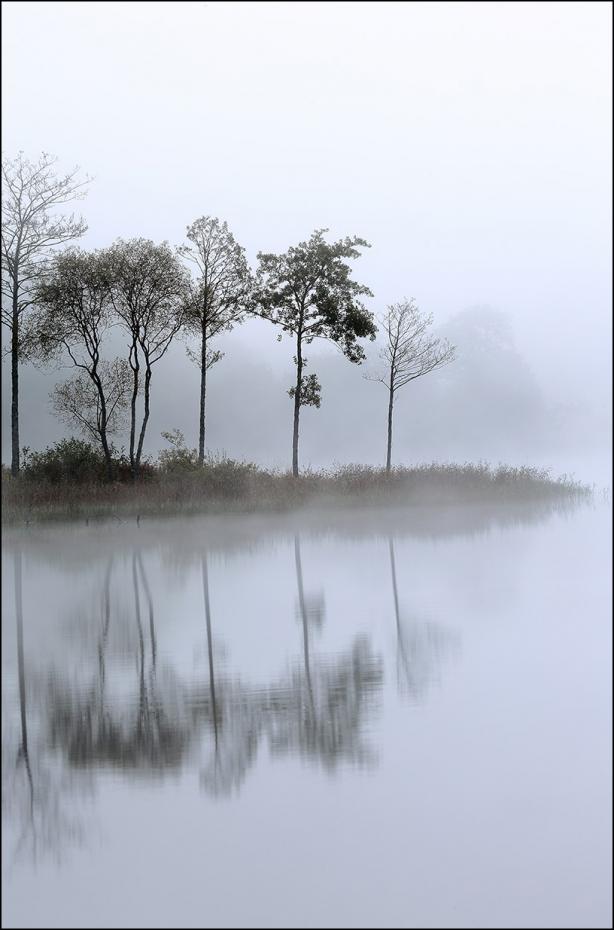 Morning Lake - 50x70 cm