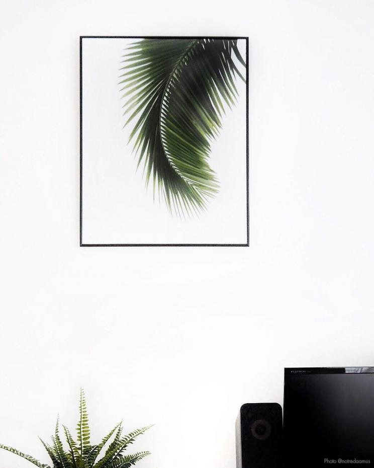 Palm Leaf - 40x50 cm