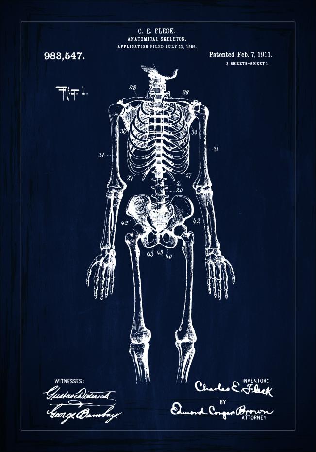 Patenttegning - Skelet I - Bl Plakat