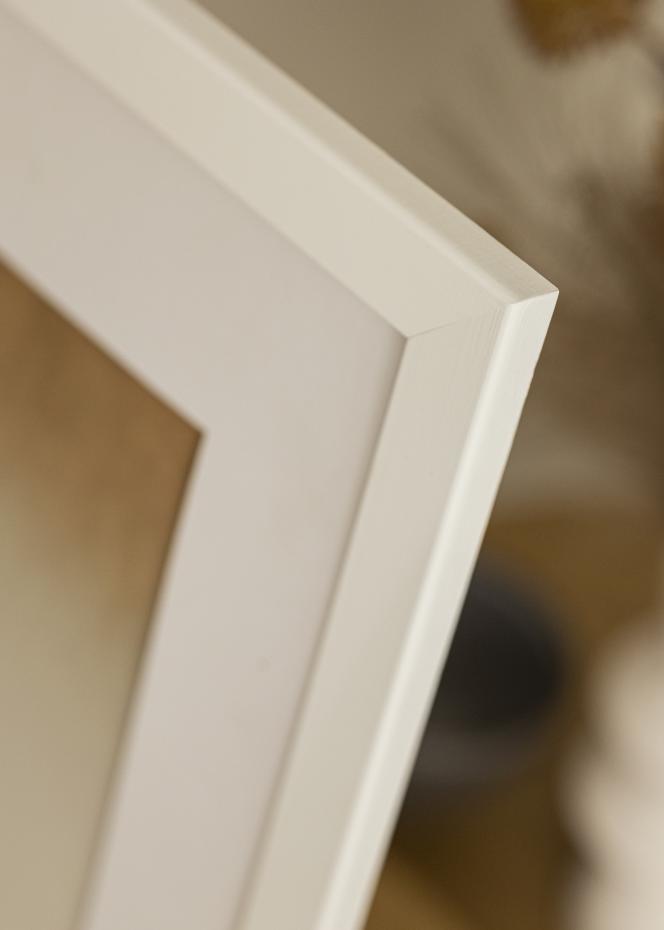 Ramme Trendline Akrylglas Hvid 84,1x118,9 cm (A0)