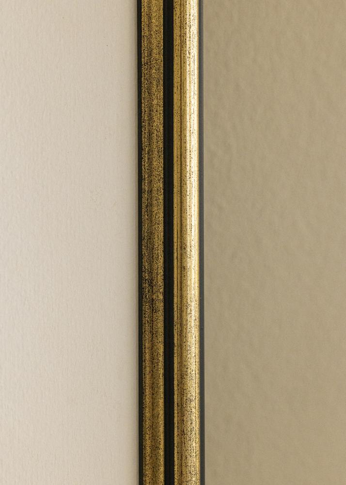 Ramme Horndal Guld 21x29,7 cm (A4)