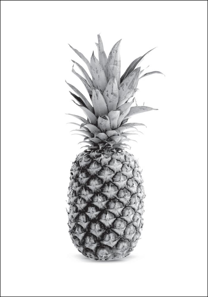 Pineapple Grey Plakat