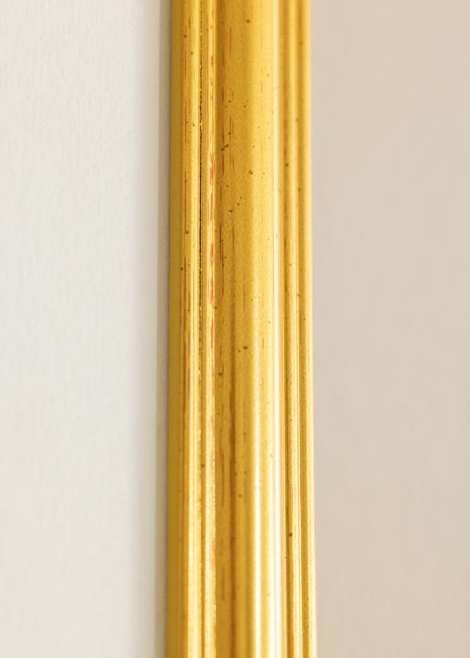 Ramme Frigg Guld 10x15 cm
